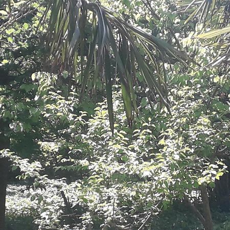 Rey 2 Bed and Breakfast Nabran Εξωτερικό φωτογραφία