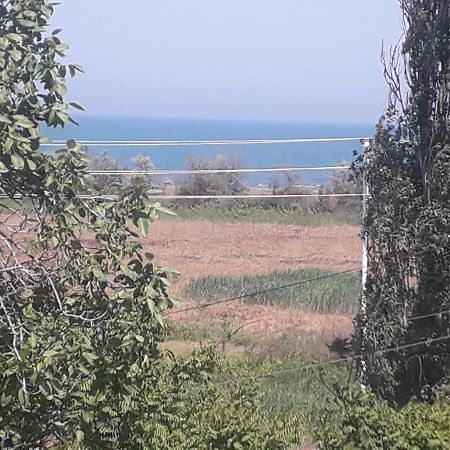 Rey 2 Bed and Breakfast Nabran Εξωτερικό φωτογραφία