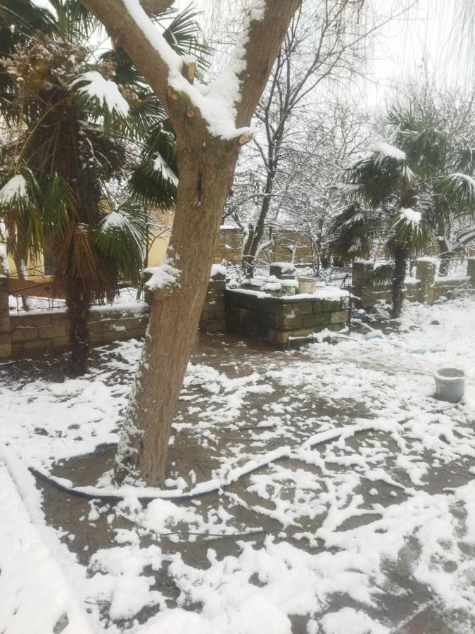 Rey 2 Bed and Breakfast Nabran Εξωτερικό φωτογραφία